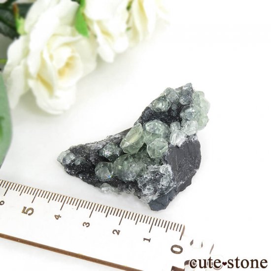  ʡʻ ꡼ե饤Ȥդ뾽ʸС43gμ̿4 cute stone