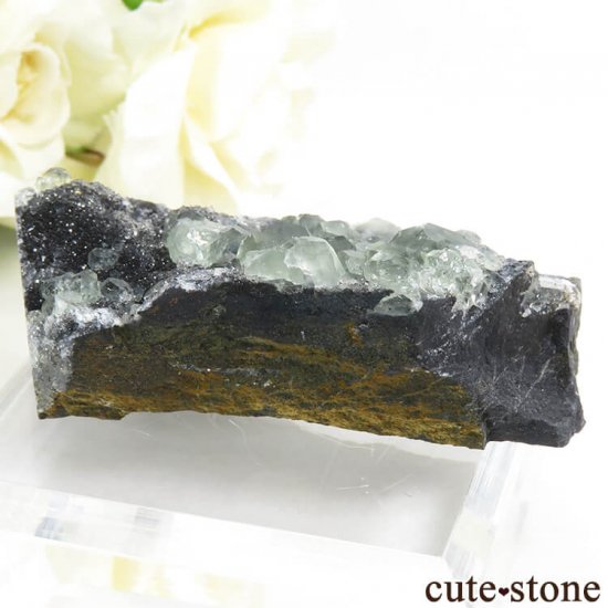  ʡʻ ꡼ե饤Ȥդ뾽ʸС42gμ̿0 cute stone