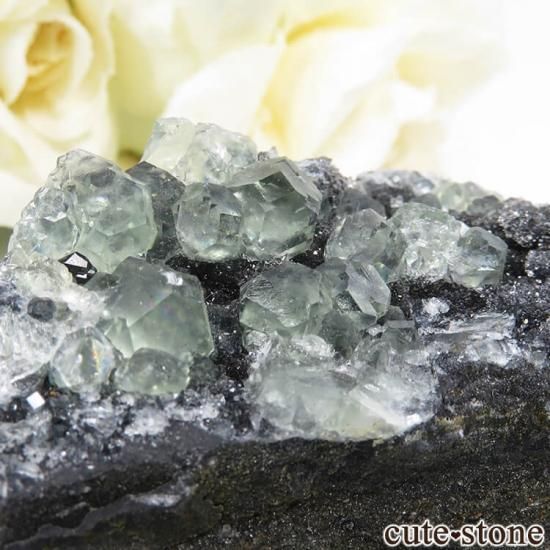  ʡʻ ꡼ե饤Ȥդ뾽ʸС42gμ̿1 cute stone