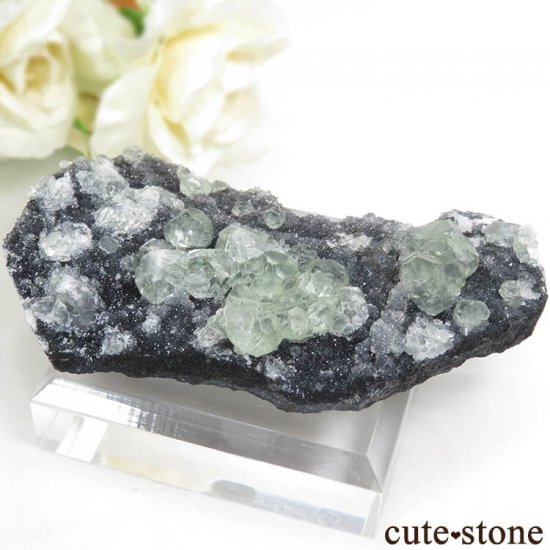  ʡʻ ꡼ե饤Ȥդ뾽ʸС45gμ̿0 cute stone