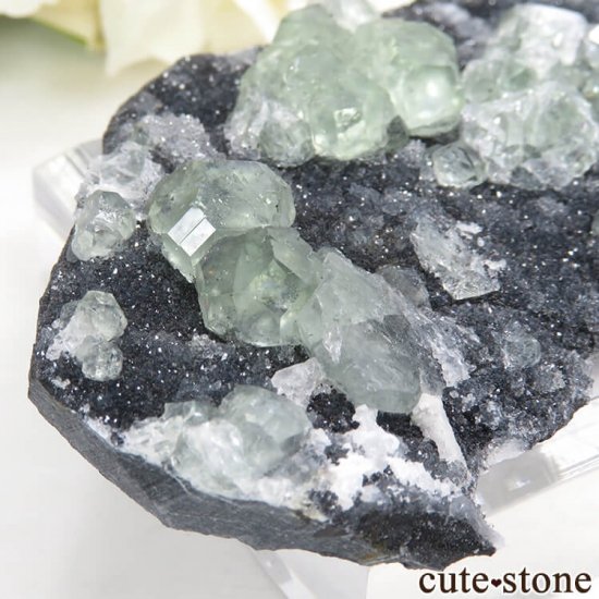  ʡʻ ꡼ե饤Ȥդ뾽ʸС45gμ̿3 cute stone