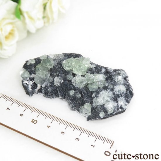  ʡʻ ꡼ե饤Ȥդ뾽ʸС45gμ̿4 cute stone