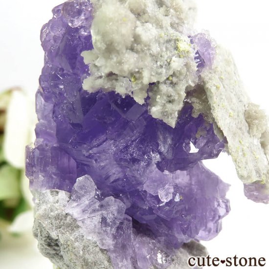 ꥢ Monte Arsiccio Mine ХȤդ뾽ʸС33.2gμ̿6 cute stone