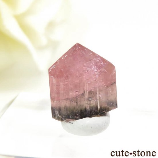 ѥ Stak Nala ԥ󥯥ȥޥη뾽 1.1gμ̿0 cute stone