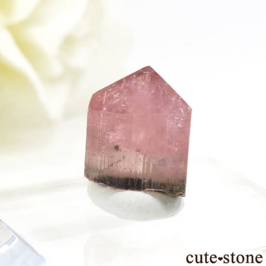 ѥ Stak Nala ԥ󥯥ȥޥη뾽 1.1gμ̿2 cute stone