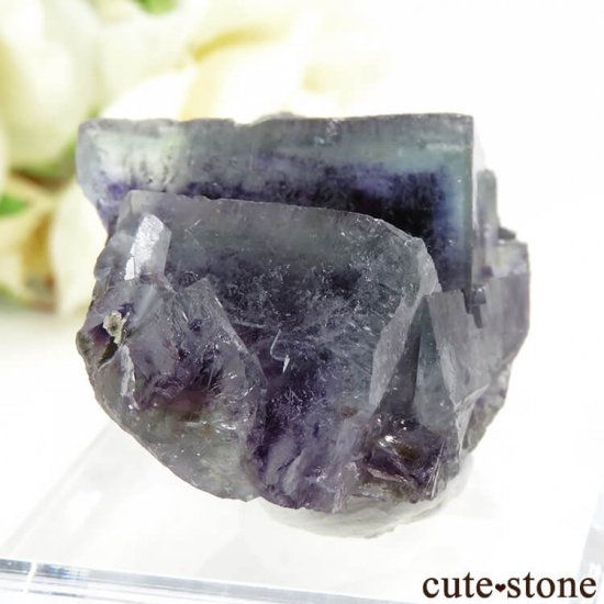  󥴥뻺 ѡץߥ֥롼ե饤Ȥθ 35.2gμ̿0 cute stone
