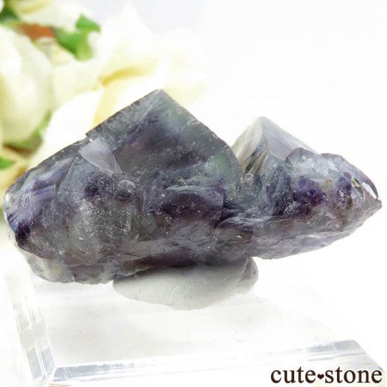  󥴥뻺 ѡץߥ֥롼ե饤Ȥθ 35.2gμ̿1 cute stone