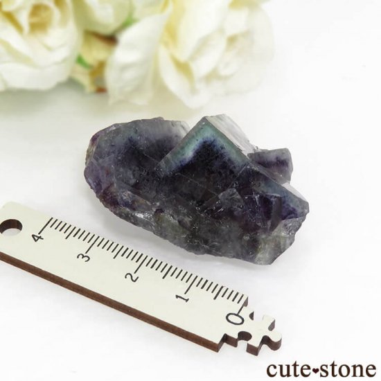  󥴥뻺 ѡץߥ֥롼ե饤Ȥθ 35.2gμ̿4 cute stone
