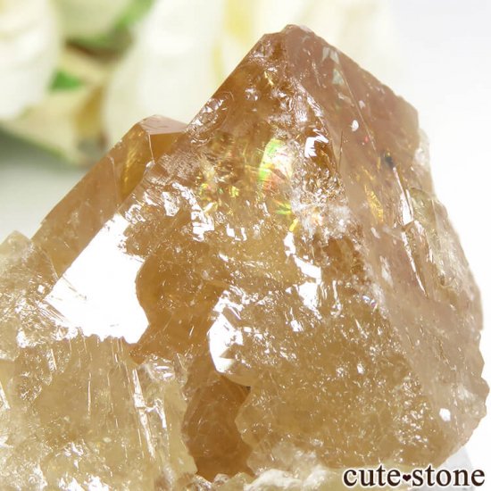  ʻ 饤Ȥη뾽ʸС59gμ̿3 cute stone