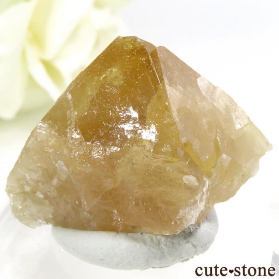  ʻ 饤Ȥη뾽ʸС36gμ̿0 cute stone