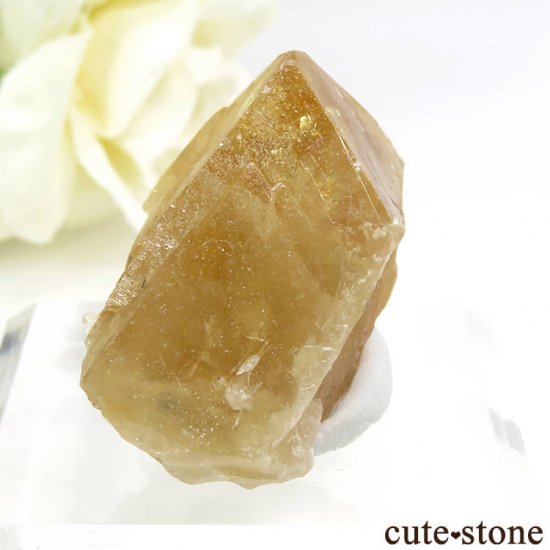  ʻ 饤Ȥη뾽ʸС36gμ̿1 cute stone
