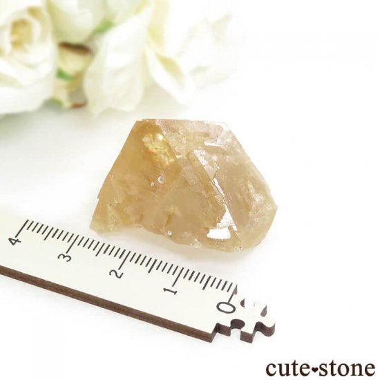  ʻ 饤Ȥη뾽ʸС36gμ̿2 cute stone