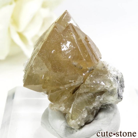  ʻ 饤Ȥη뾽ʸС34.7gμ̿0 cute stone