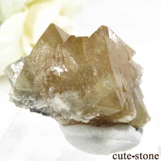  ʻ 饤Ȥη뾽ʸС34.7gμ̿1 cute stone