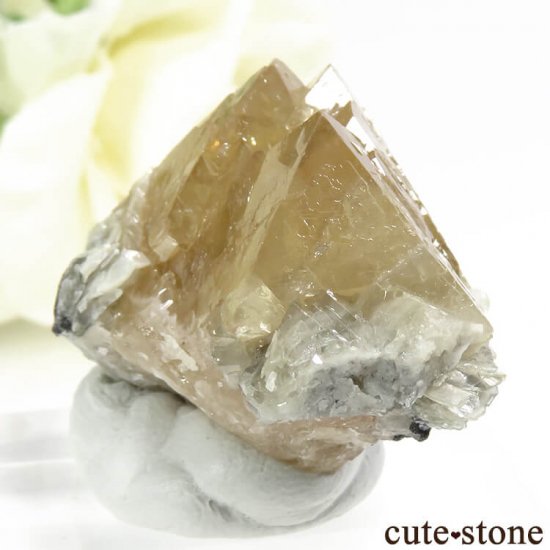  ʻ 饤Ȥη뾽ʸС34.7gμ̿2 cute stone