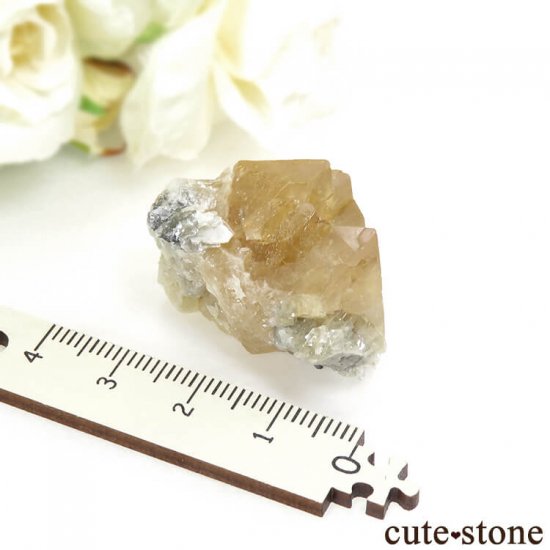 ʻ 饤Ȥη뾽ʸС34.7gμ̿3 cute stone