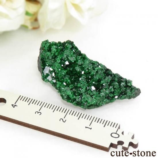  ХХȥͥåȤդ뾽ʸС15.1gμ̿3 cute stone