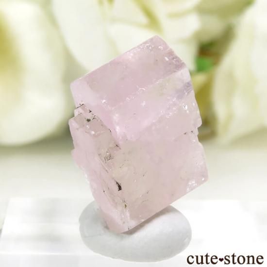 ӥ La Marina Mine ԥ󥯥ѥȤη뾽ʸС 2.5gμ̿1 cute stone
