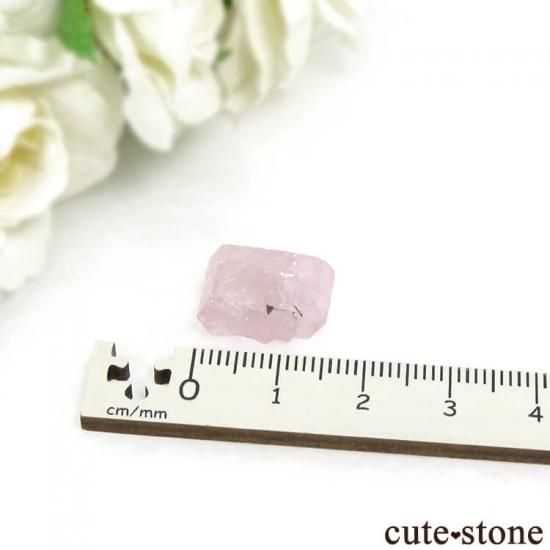 ӥ La Marina Mine ԥ󥯥ѥȤη뾽ʸС 2.5gμ̿3 cute stone