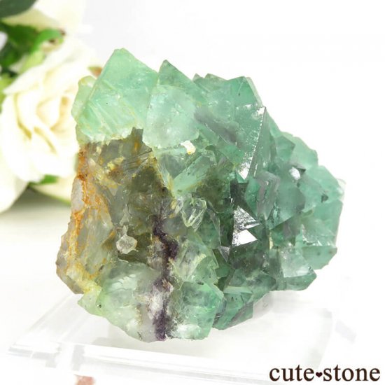 եꥫ ȬΥ꡼ե饤Ȥθ 119gμ̿0 cute stone