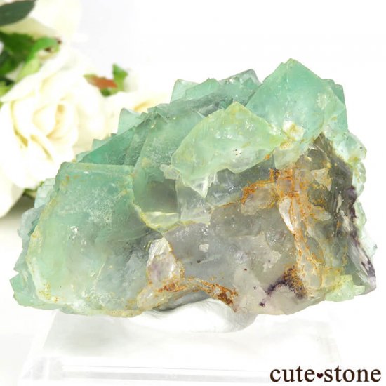 եꥫ ȬΥ꡼ե饤Ȥθ 119gμ̿1 cute stone