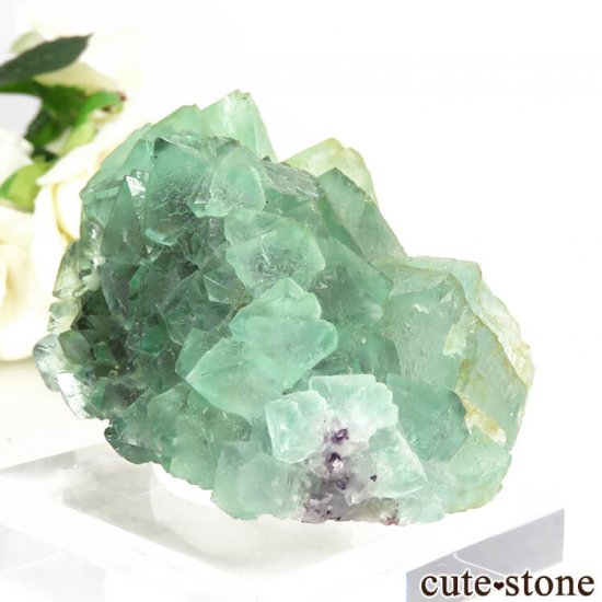 եꥫ ȬΥ꡼ե饤Ȥθ 119gμ̿2 cute stone