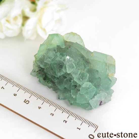 եꥫ ȬΥ꡼ե饤Ȥθ 119gμ̿5 cute stone