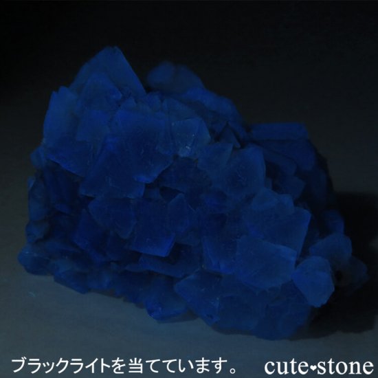 եꥫ ȬΥ꡼ե饤Ȥθ 119gμ̿6 cute stone