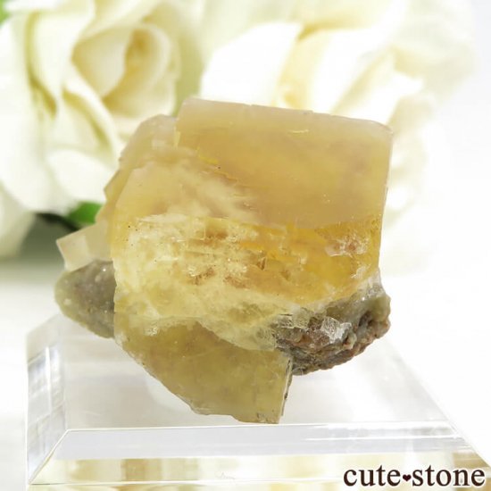  ʻ ե饤Ȥη뾽ʸС15.5gμ̿0 cute stone