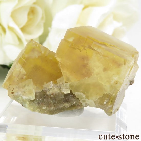  ʻ ե饤Ȥη뾽ʸС15.5gμ̿1 cute stone