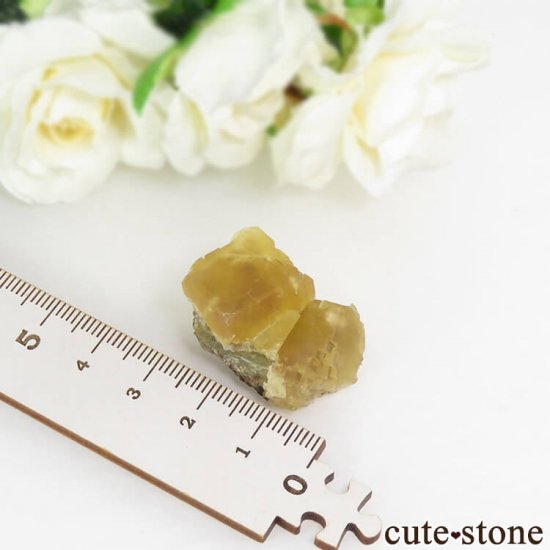  ʻ ե饤Ȥη뾽ʸС15.5gμ̿3 cute stone
