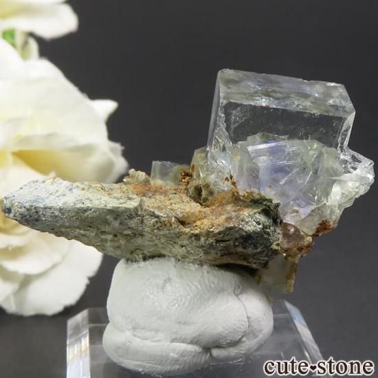  ʻ ե饤Ȥդ뾽ʸС18.1gμ̿1 cute stone