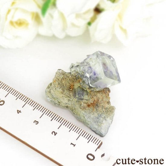  ʻ ե饤Ȥդ뾽ʸС18.1gμ̿4 cute stone