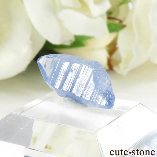 󥫻 ֥롼եη뾽ʸС0.7gμ̿2 cute stone