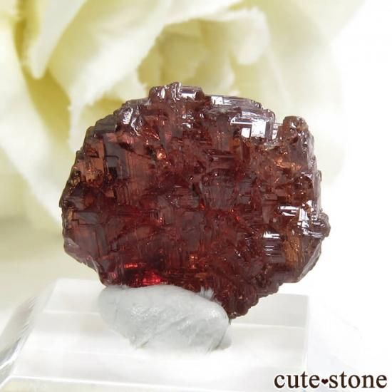 ֥饸뻺 ڥƥ󥬡ͥåȤη뾽ʸС2.4gμ̿1 cute stone