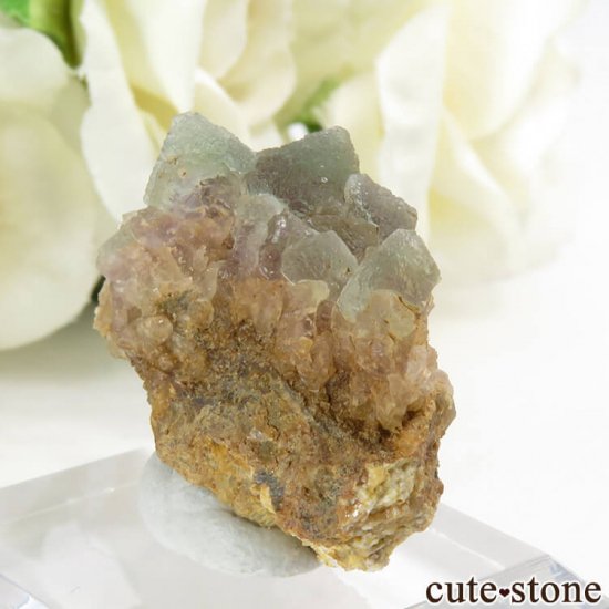 ֥륬ꥢ ե饤Ȥդ뾽ʸС9.1gμ̿0 cute stone
