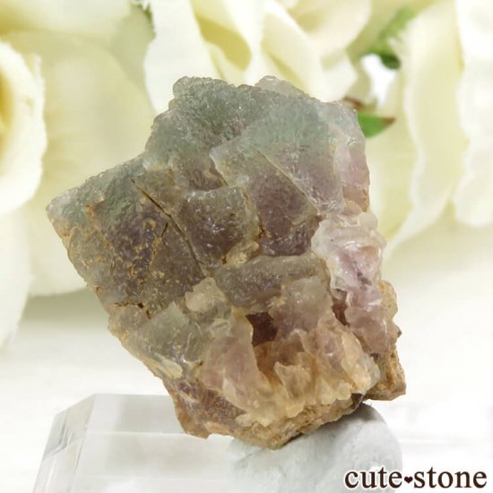 ֥륬ꥢ ե饤Ȥդ뾽ʸС9.1gμ̿1 cute stone