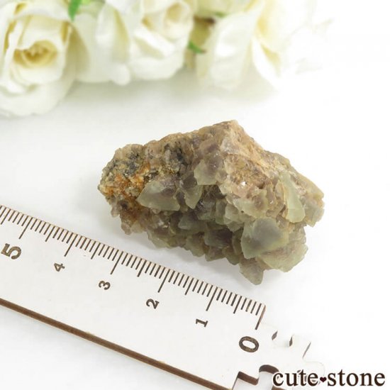 ֥륬ꥢ ե饤Ȥդ뾽ʸС30.4gμ̿2 cute stone