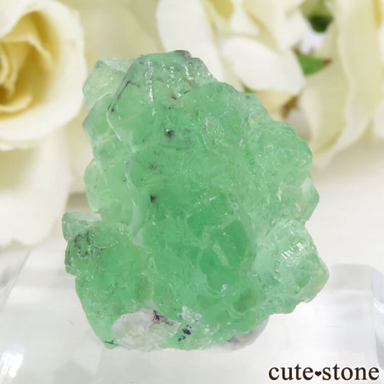 ʥߥӥ 󥴻 ꡼ե饤Ȥη뾽ʸС7.4gμ̿0 cute stone