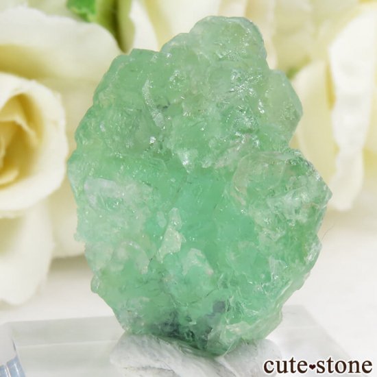 ʥߥӥ 󥴻 ꡼ե饤Ȥη뾽ʸС9.9gμ̿0 cute stone