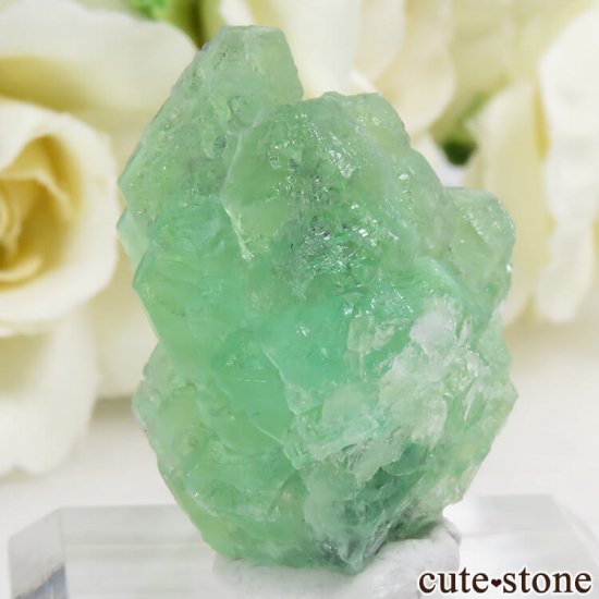 ʥߥӥ 󥴻 ꡼ե饤Ȥη뾽ʸС9.9gμ̿1 cute stone