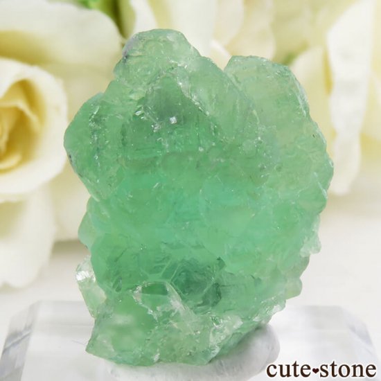 ʥߥӥ 󥴻 ꡼ե饤Ȥη뾽ʸС9.9gμ̿2 cute stone