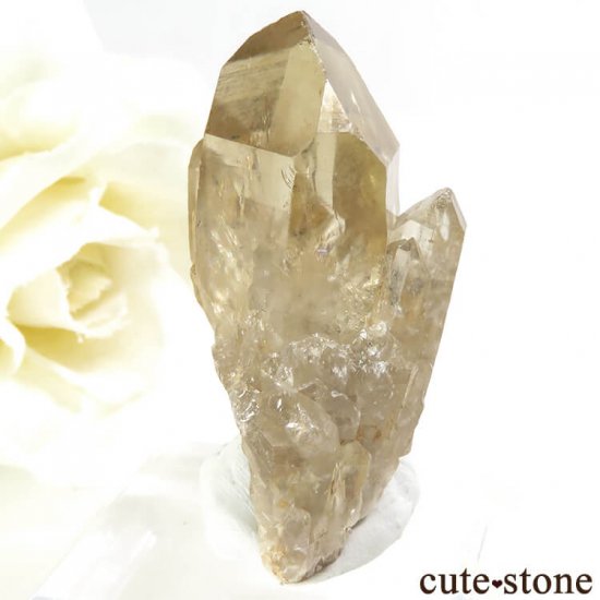 󥴻 ŷȥη뾽ʸС9.8gμ̿0 cute stone