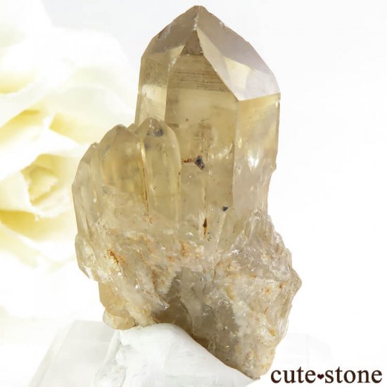 󥴻 ŷȥη뾽ʸС9.8gμ̿1 cute stone