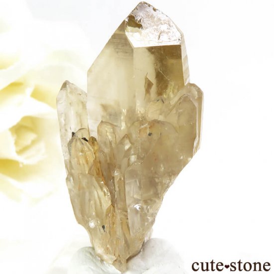 󥴻 ŷȥη뾽ʸС9.8gμ̿2 cute stone