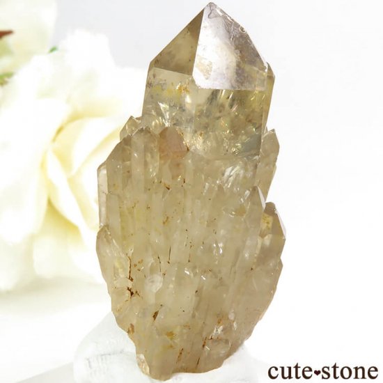 󥴻 ŷȥη뾽ʸС18.3gμ̿0 cute stone