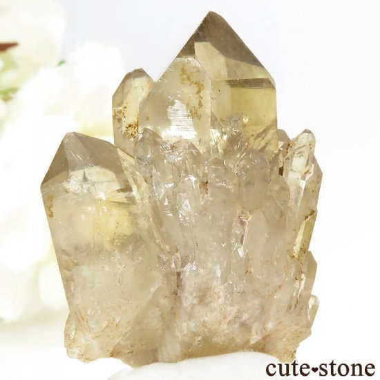 󥴻 ŷȥη뾽ʸС18.3gμ̿1 cute stone