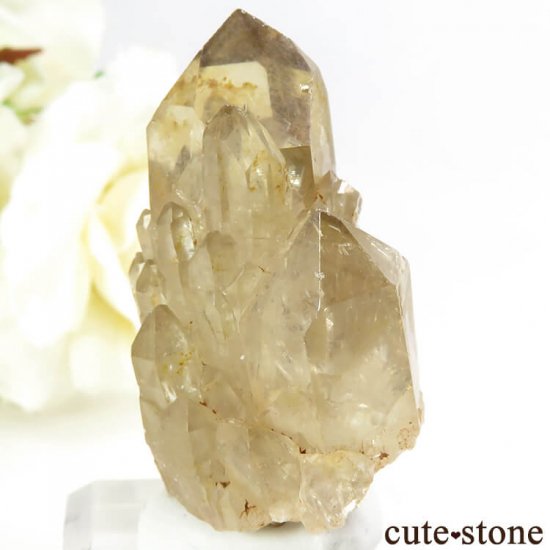 󥴻 ŷȥη뾽ʸС18.3gμ̿2 cute stone