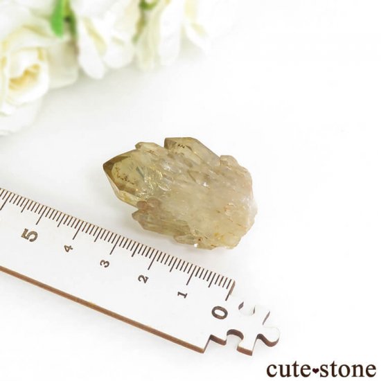 󥴻 ŷȥη뾽ʸС18.3gμ̿3 cute stone