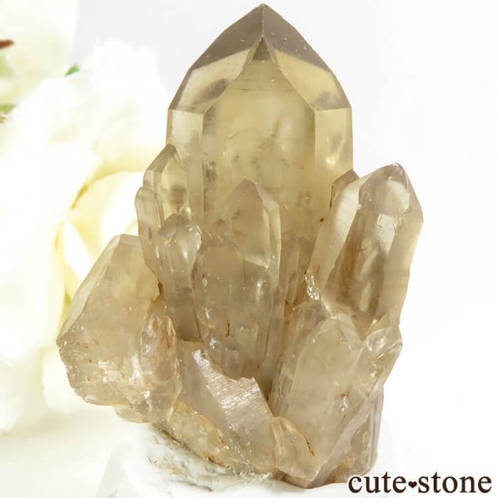 コンゴ産 天然シトリンの結晶 原石 21 2g Cute Stone